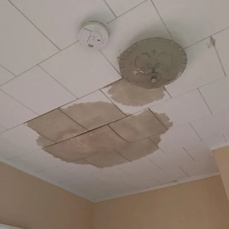 Ceiling Water Damage Repair in Okolona, MS