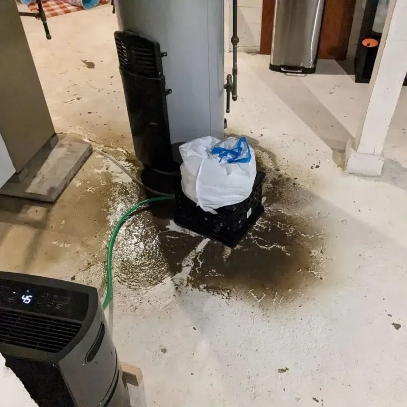 Sewage Backup Cleanup Service in Okolona, MS